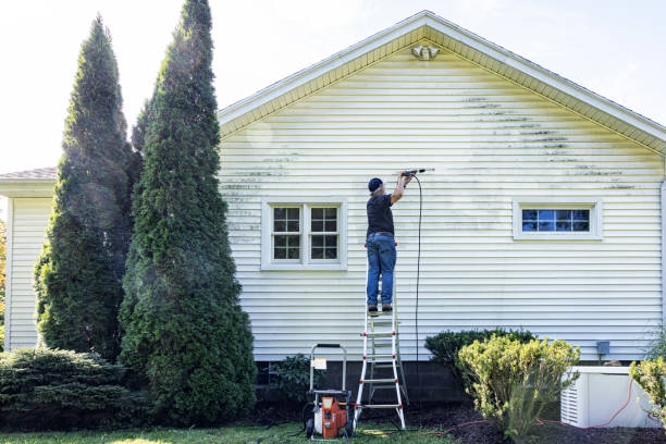 Best Driveway Pressure Washing  in Paris, KY