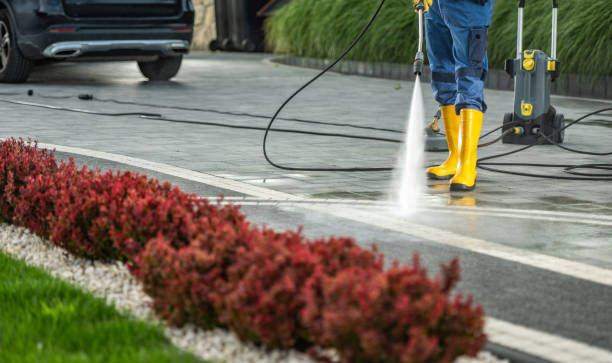 Best Sidewalk and Walkway Cleaning  in Paris, KY